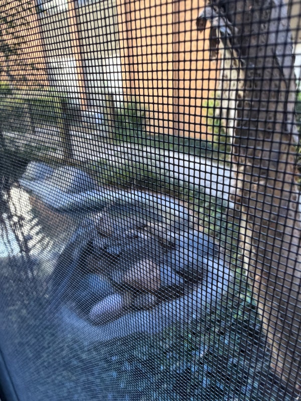 Photo - 3776 Alabama St