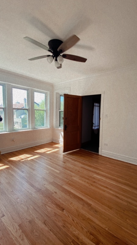 Photo - 4815 S Springfield Ave