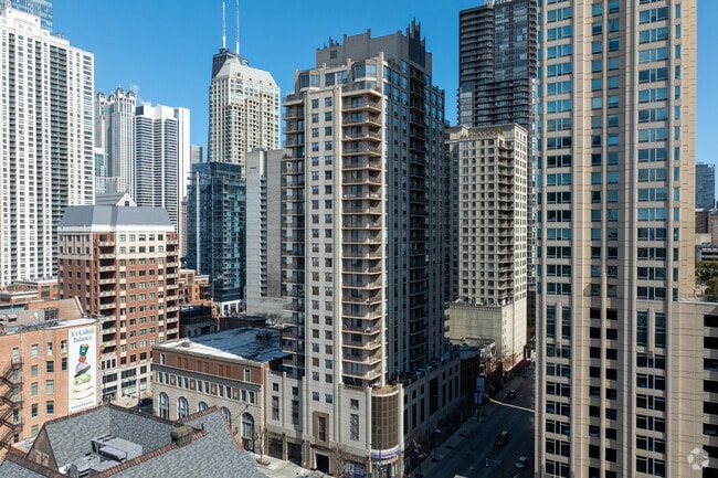 Primary - The Caravel