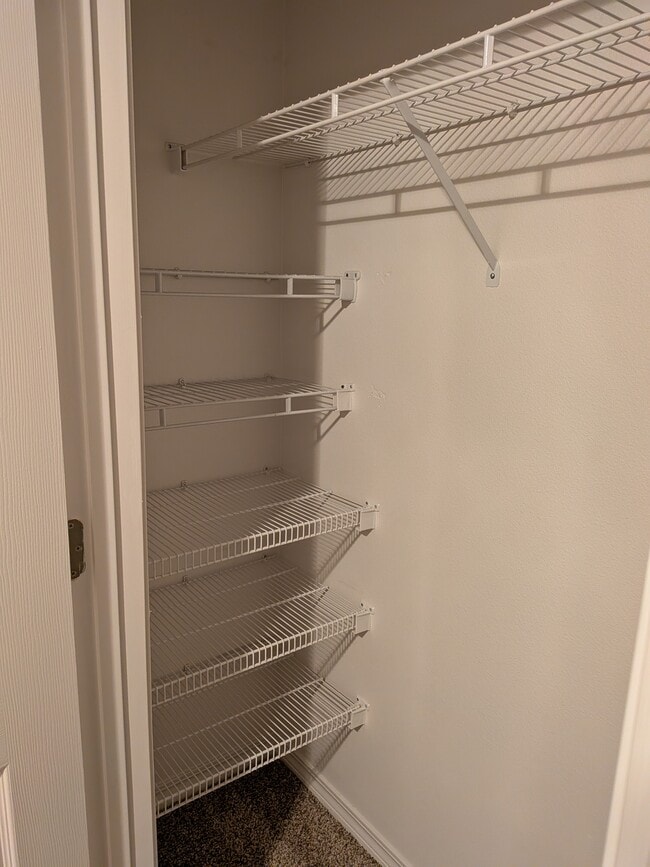 BR3 closet - 574 Rough Leaf Ln