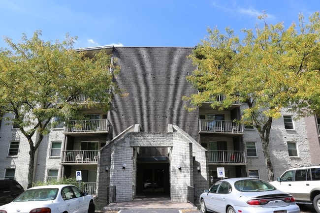 Photo - The Guardian