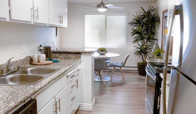Granite Countertops - Spring Creek Apartments