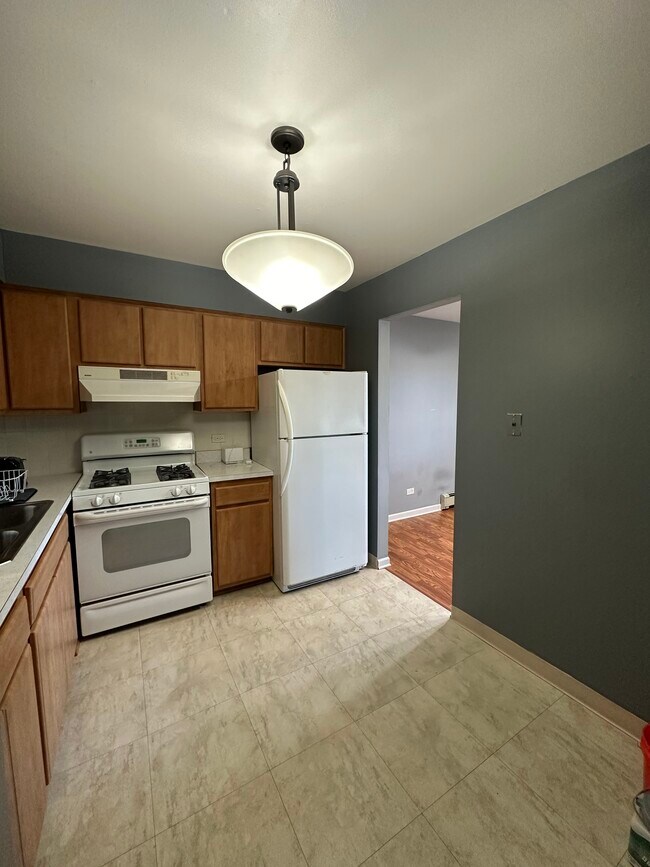 6670 S Brainard Ave Condo Unit 202 Condo for Rent in Countryside, IL