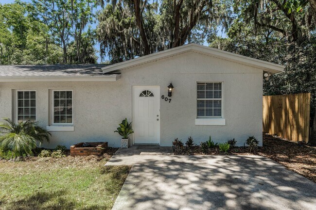 Photo - New Mount Dora Rental!
