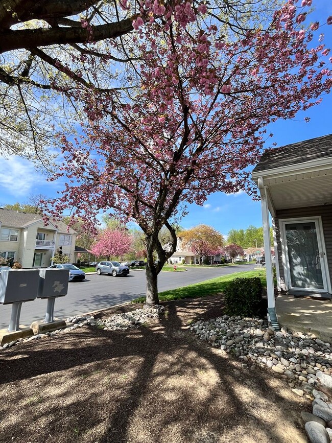 Photo - 2 Bed 2 Bath Condo in Council Rock School District
