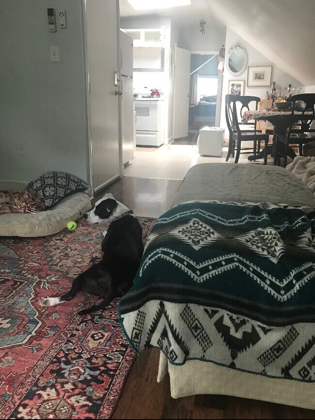 Photo - 207 N Main St Unit 5