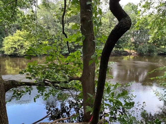 Photo - 48 River Ave