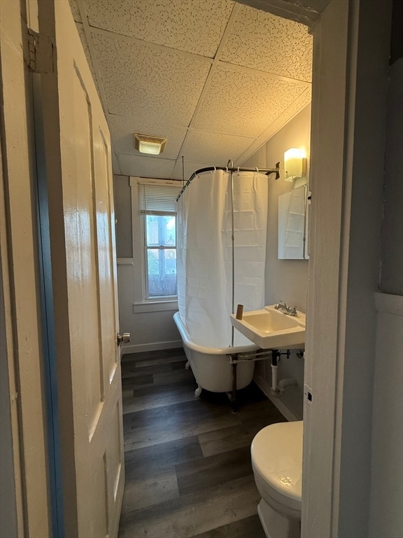 Photo - 62 Harrison St Unit 3