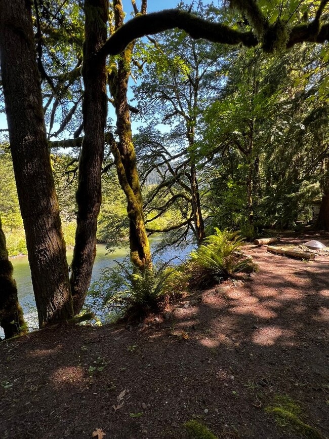 Photo - River Rapids