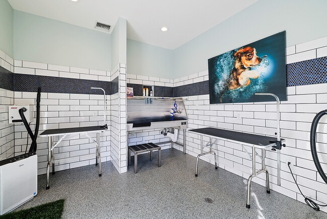 Photo - Bristol Commons