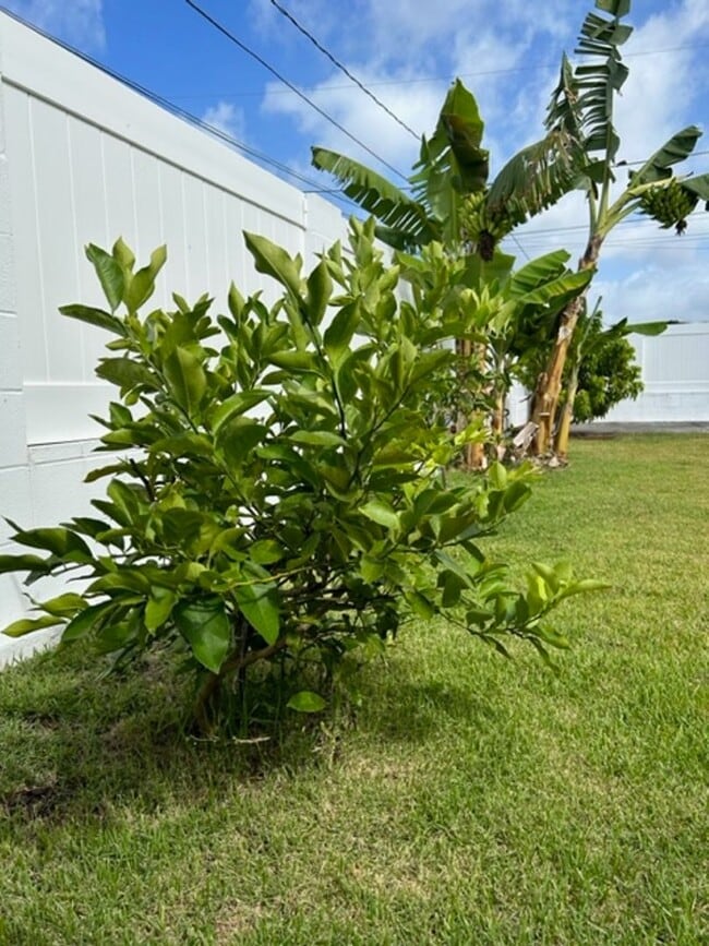 Photo - Available on 12/16/25, spacious 1570 sq ft, 3 Bedrooms, 2 Baths, 2 Car Garage Single-Family Home ...