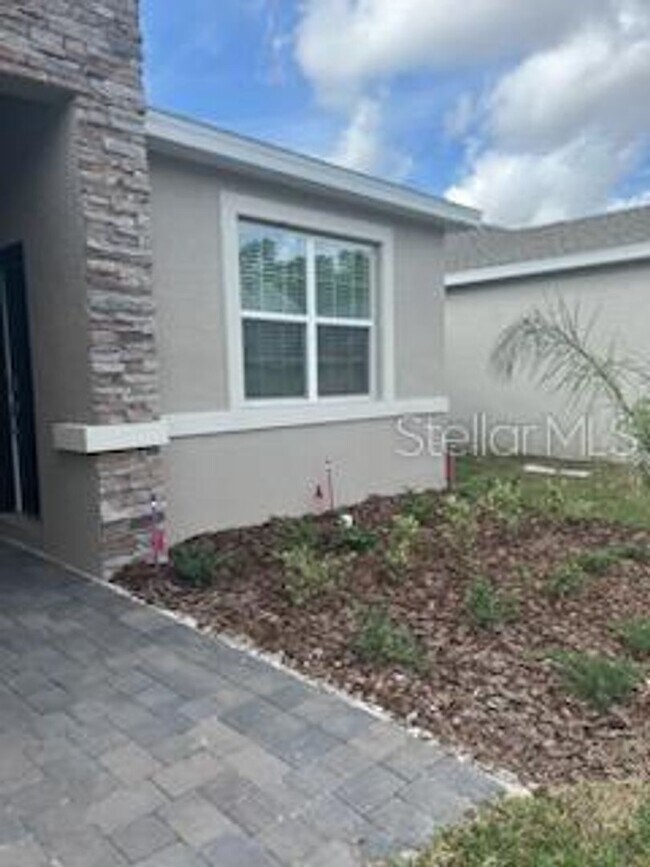 Photo - Next Gen Suite