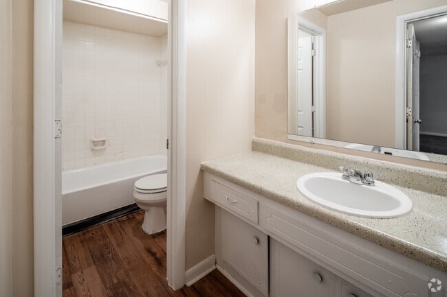 1BR, 1BA - 700SF - Bathroom