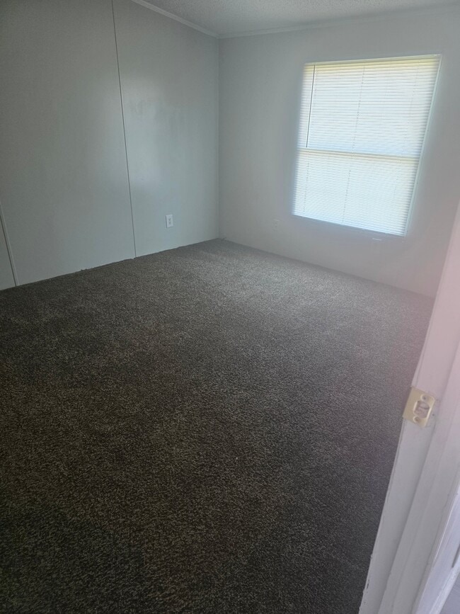 Photo - 1311 Knotty Elm Loop