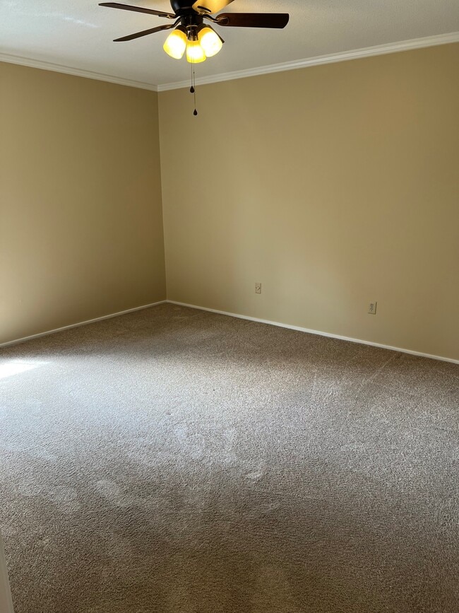 Living Room - 311 W Earle St Unit A23
