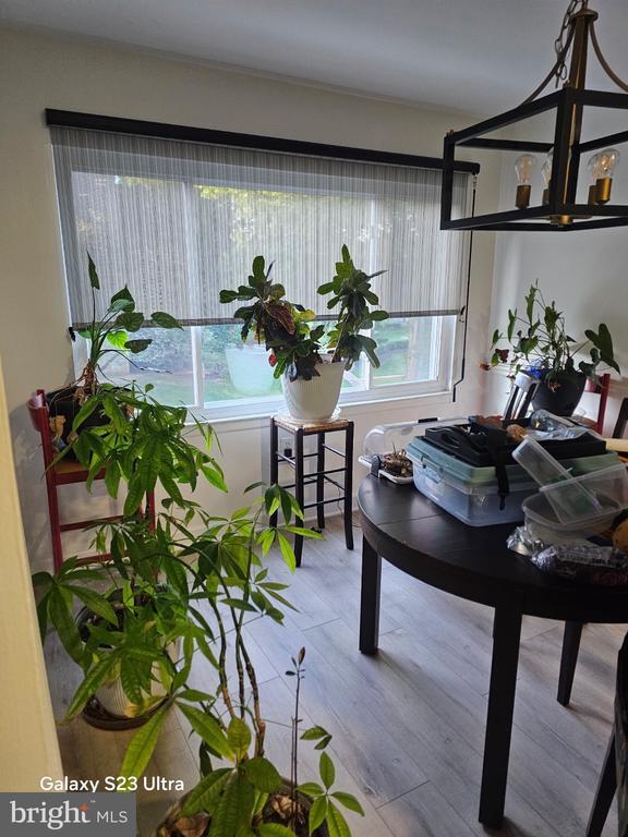 440 Girard St Unit 203