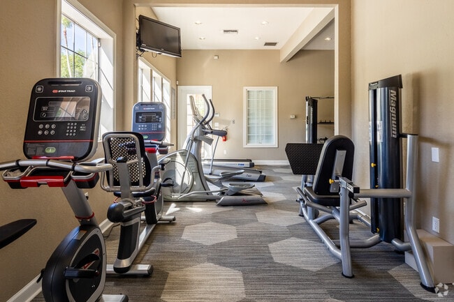 2400 Clubside Ct Palm Harbor, FL