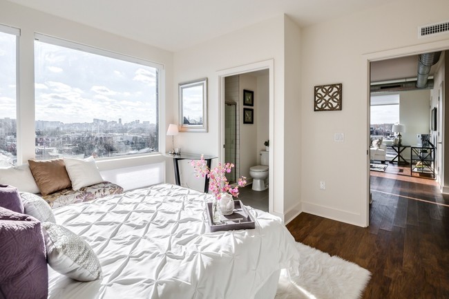 Braverman Building - Braverman Building Apartments