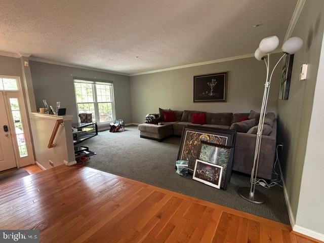 Photo - 10148 Vanderbilt Cir