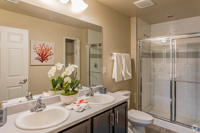 2BD. 2BA - 1031 SF