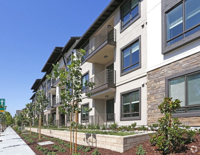 Anton 1101 Apartments