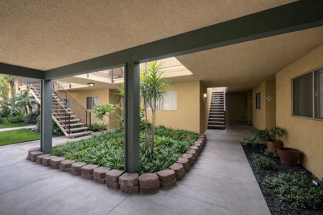 Palm Vista