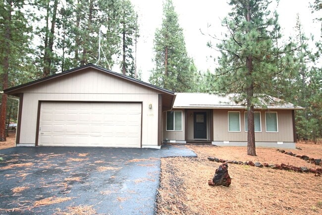 Photo - 14355 Brown Trout