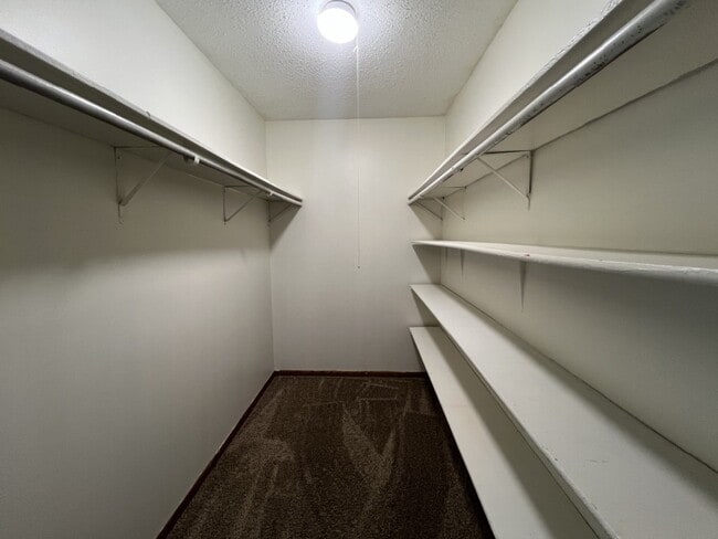 MV Apartments