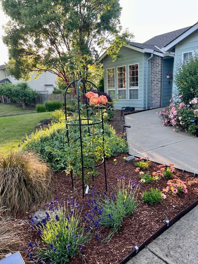 Photo - One Level Home - Three Bedroom + Bonus with AC / Beautiful Yard!