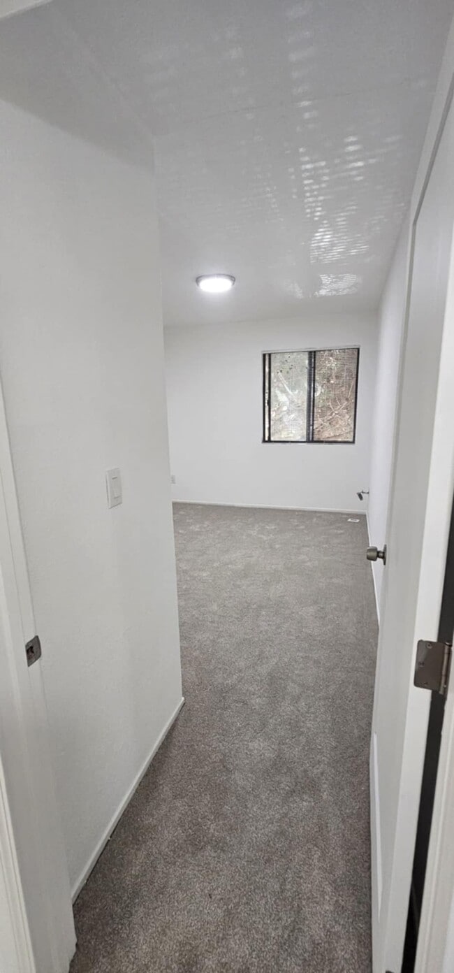 Photo - Mission Bart Apartments - Newly Renovated