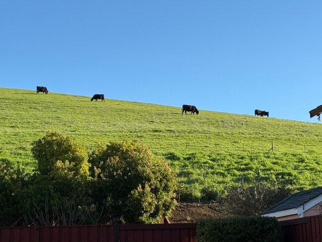 Photo - 2033 Silvercrest Dr