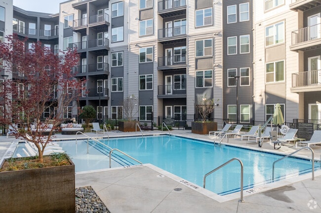 Pool and Courtyard - The Jayne