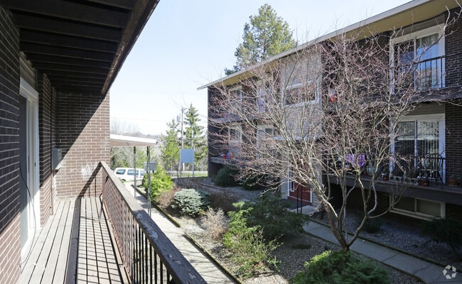 Polk Street Court Yard 1