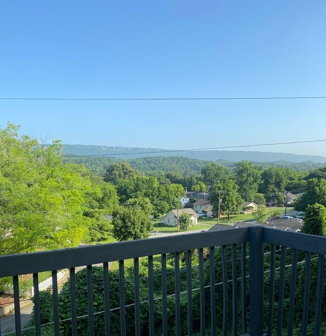 Photo - Terra at Ashley