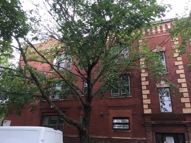 Photo - 2906 N Greenview Ave Apartment Unit 1