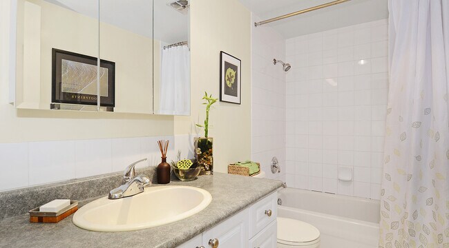 Photo - Iona Unité 00305