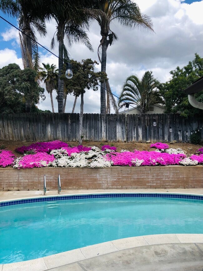 Photo - 10124-10123 3 Oaks Way