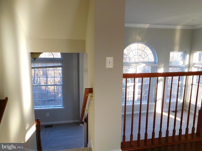 Photo - 12420 Rollys Ridge Ave