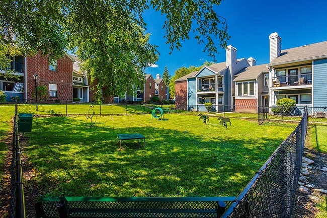 Pet-Friendly Perks at Timber Hollow Apartments - Timber Hollow