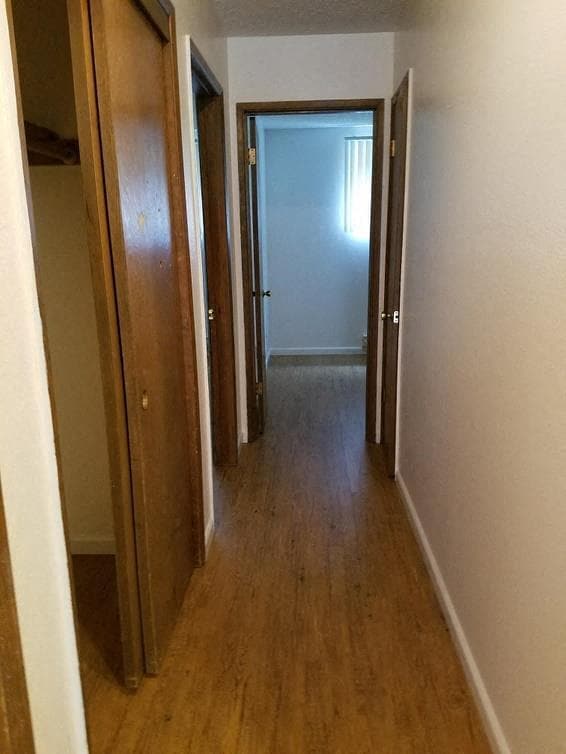 Photo - Rochelle Apartments