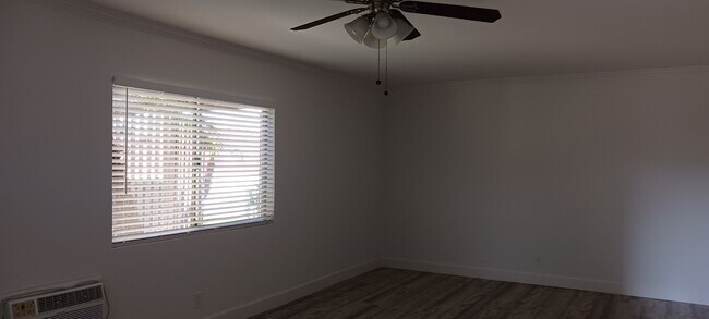 Photo - Palm Villa Apartments