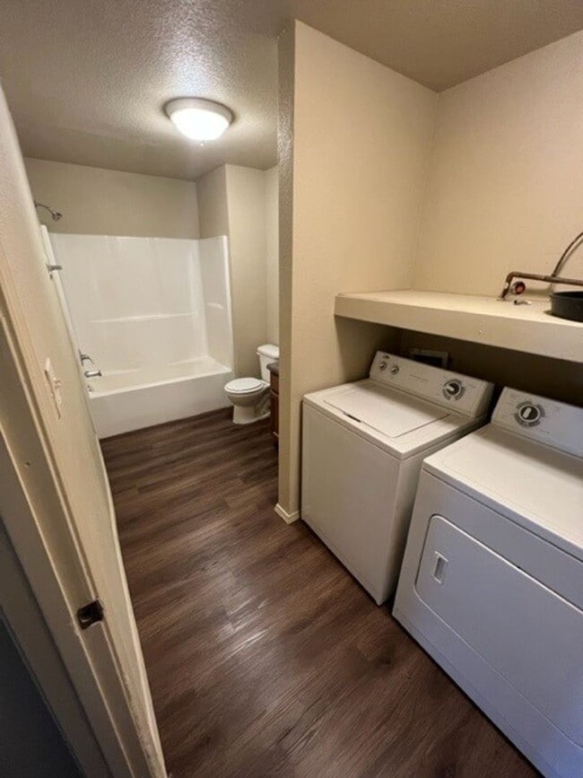 Photo - Better than the next- Colony West