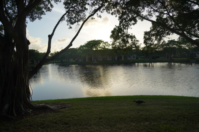 Photo - 621 Cypress Lake Blvd Condo Unit A16
