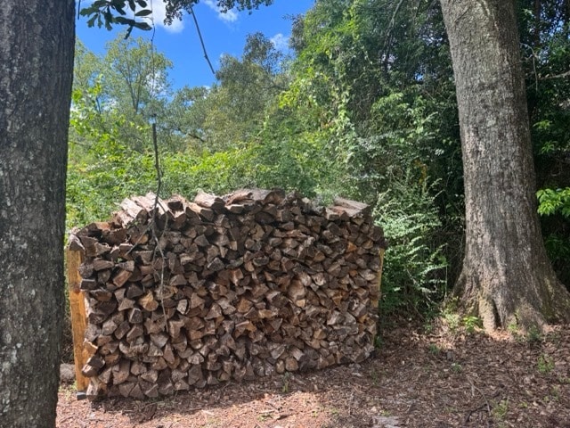 Photo - Rebecca Unit B