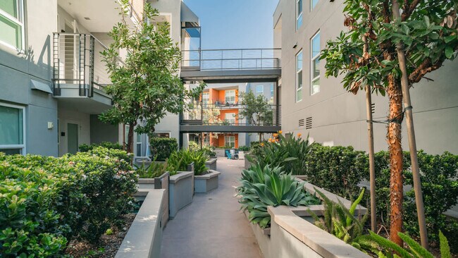 Courtyard - Mara Pacific Beach