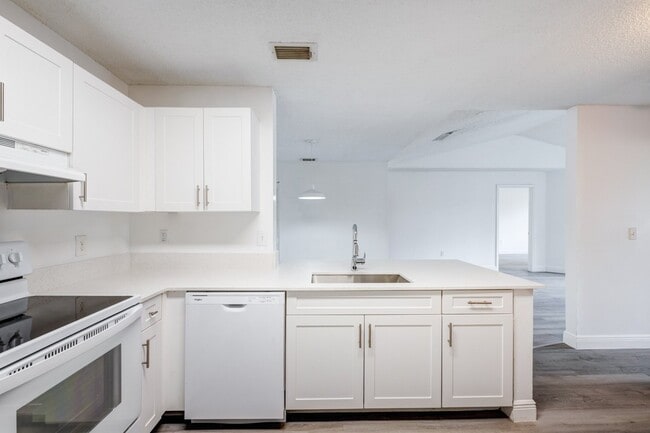 Photo - Sole at Sunrise