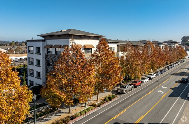 Fotografía del edificio - 888 San Mateo Apartments