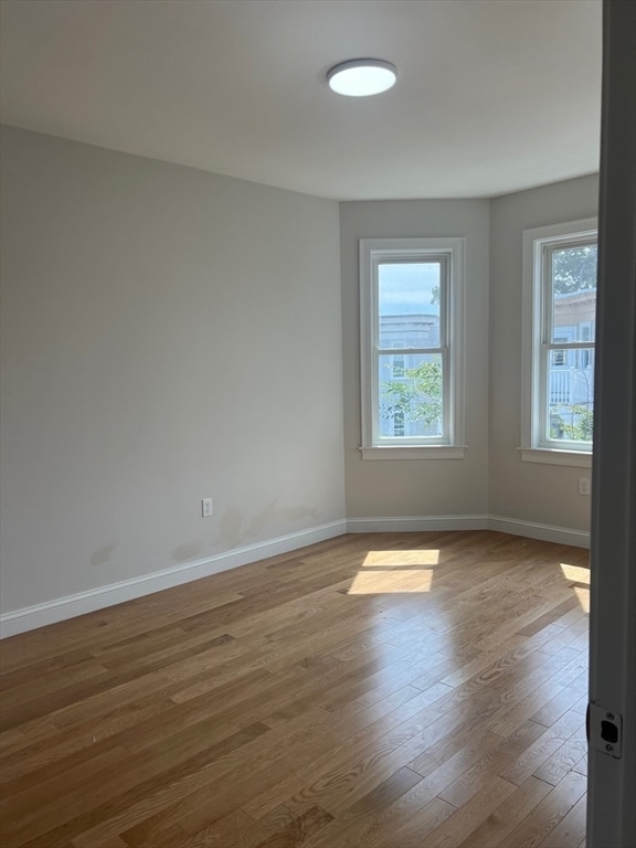 Building Photo - 6 Hallam St Unit 3 Rental
