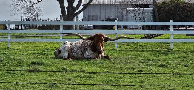 Photo - 16 Brenda Ln