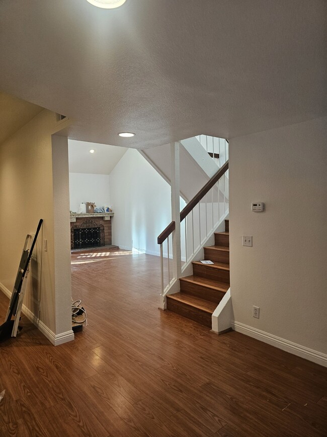 Photo - 25 Weepingwood